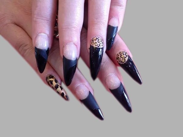 Stiletto Nail With Black Tip and Leopard Print